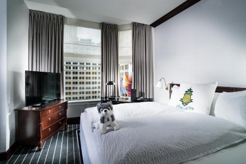 Staypineapple, An Iconic Hotel, The Loop image 41